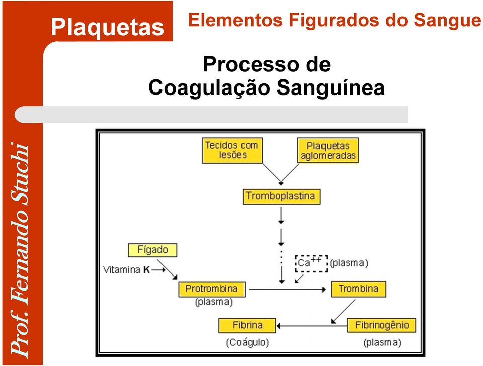 Figurados do