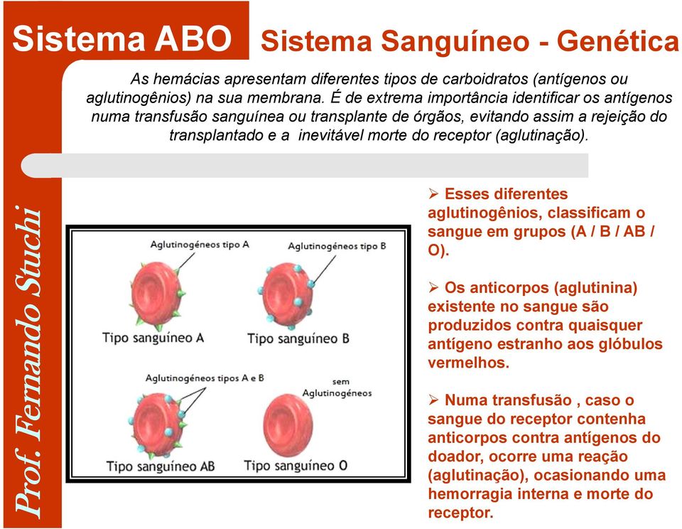(aglutinação). Esses diferentes aglutinogênios, classificam o sangue em grupos (A / B / AB / O).