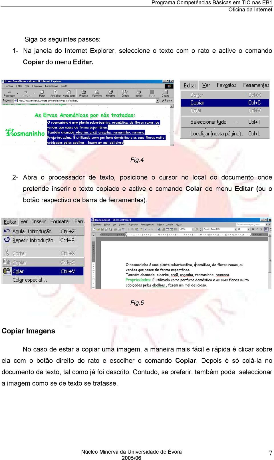 respectivo da barra de ferramentas). Fig.