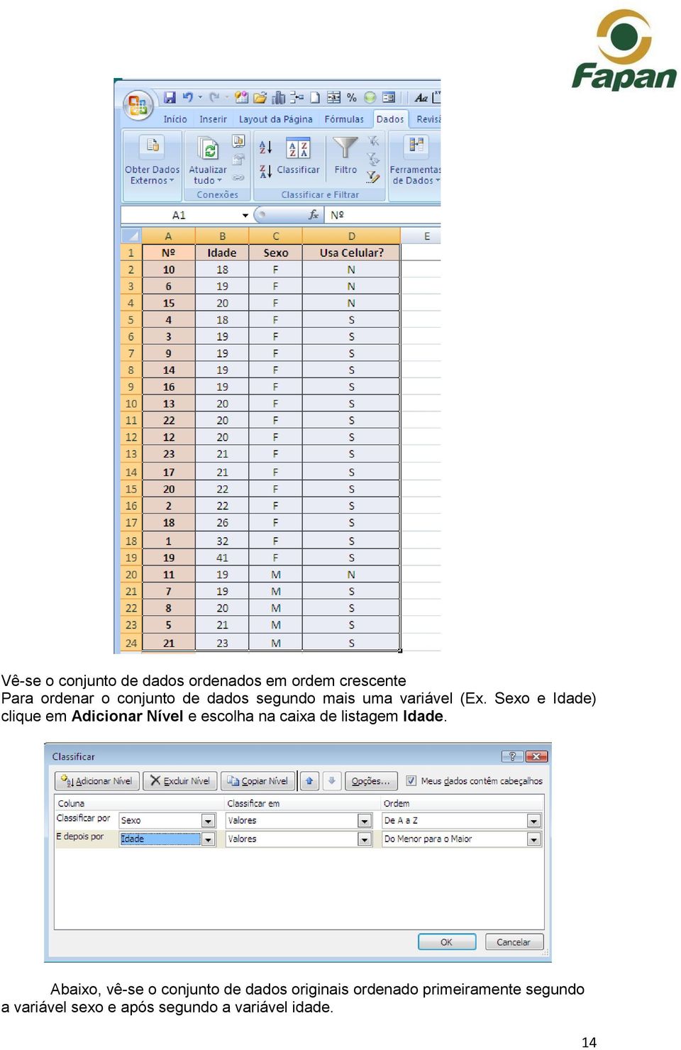 Sexo e Idade) clique em Adicionar Nível e escolha na caixa de listagem Idade.