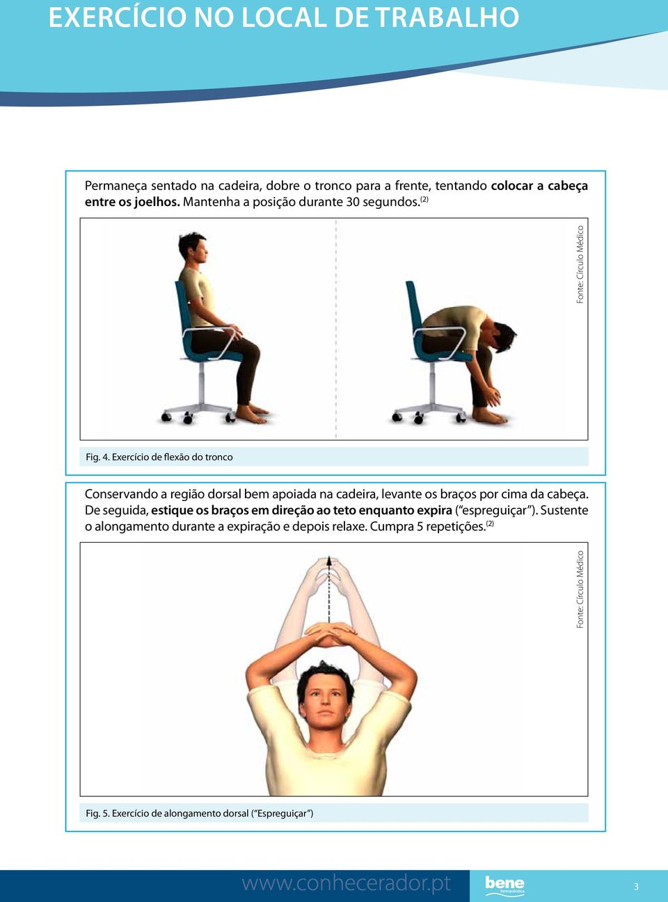Exercício de flexão do tronco Conservando a região dorsal bem apoiada na cadeira, levante os braços por cima da cabeça.