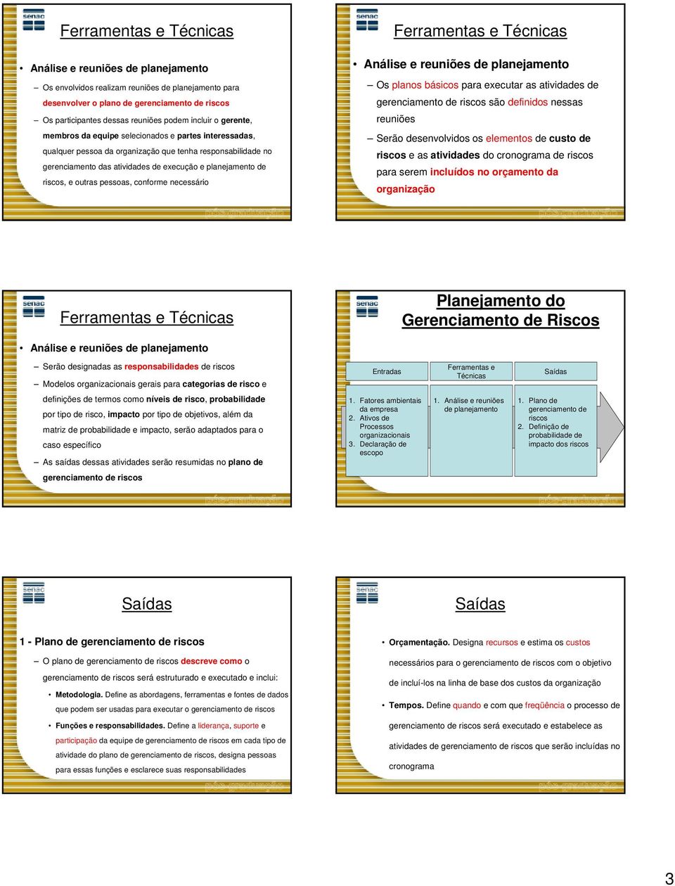 riscos, e outras pessoas, conforme necessário Ferramentas e Técnicas Análise e reuniões de planejamento Os planos básicos para executar as atividades de gerenciamento de riscos são definidos nessas