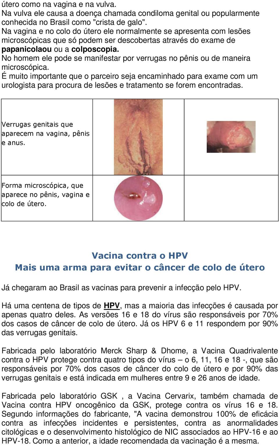 Vaccino papilloma virus latina - Papilloma virus quanto vive