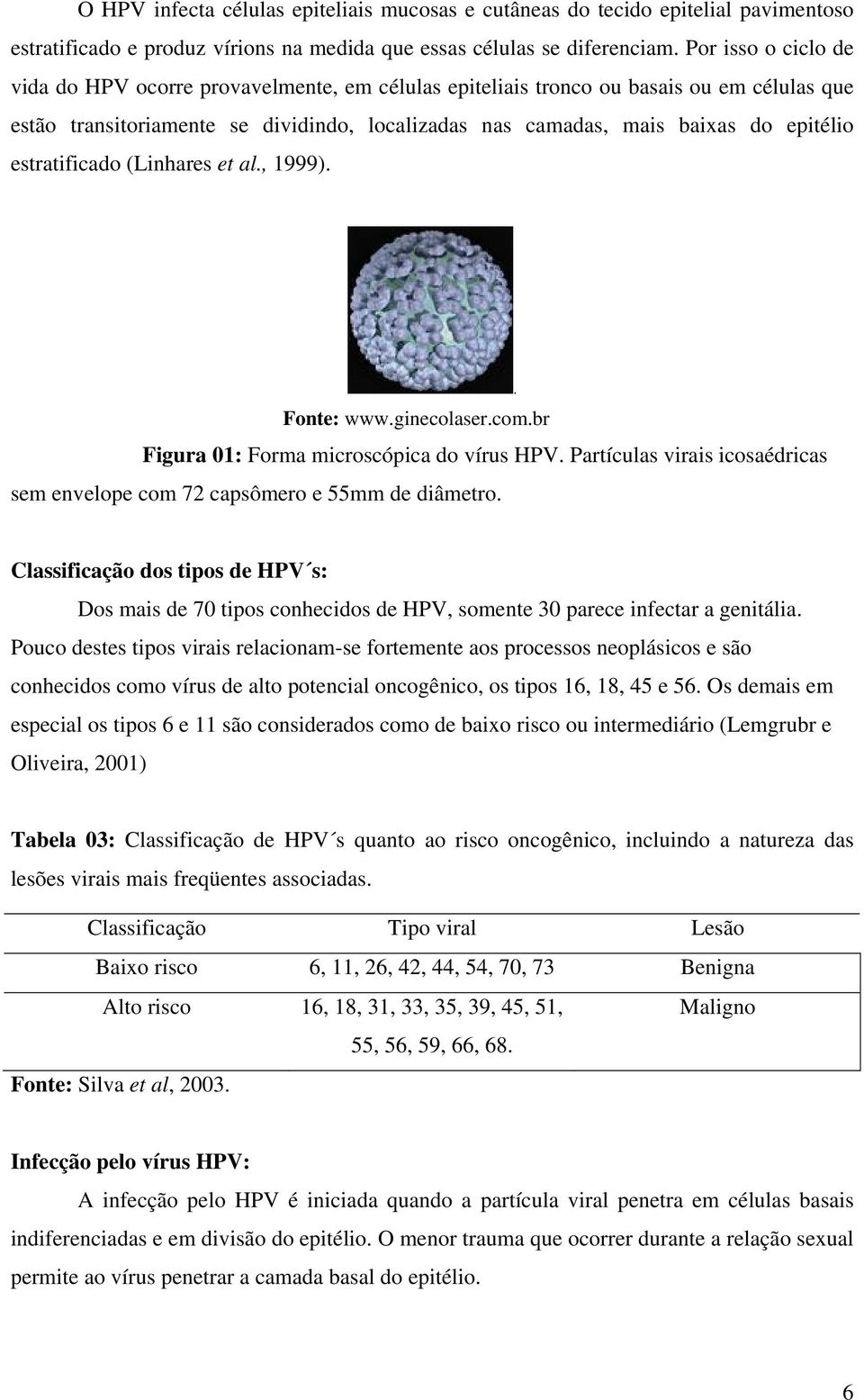 estratificado (Linhares et al., 1999). Fonte: www.ginecolaser.com.br Figura 01: Forma microscópica do vírus HPV. Partículas virais icosaédricas sem envelope com 72 capsômero e 55mm de diâmetro.