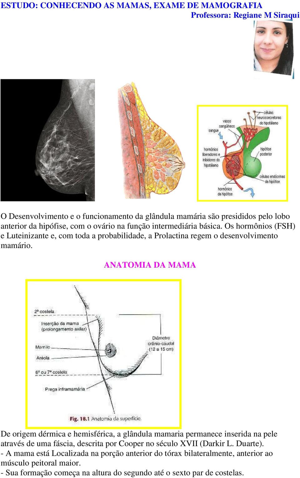 ANATOMIA DA MAMA De origem dérmica e hemisférica, a glândula mamaria permanece inserida na pele através de uma fáscia, descrita por Cooper no século XVII (Darkir L.