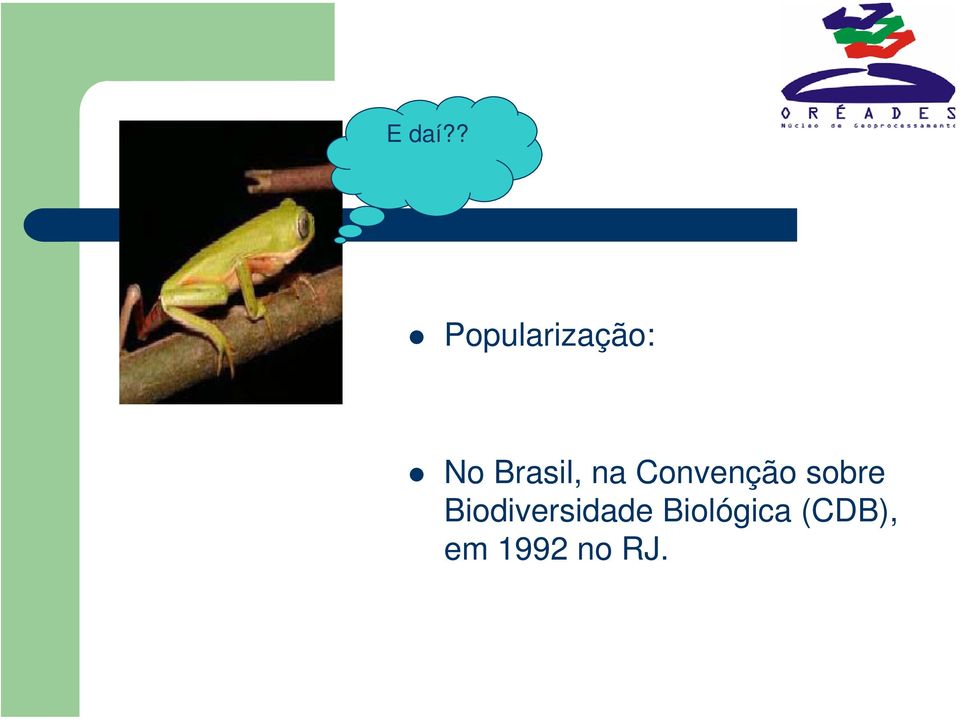 Brasil, na Convenção