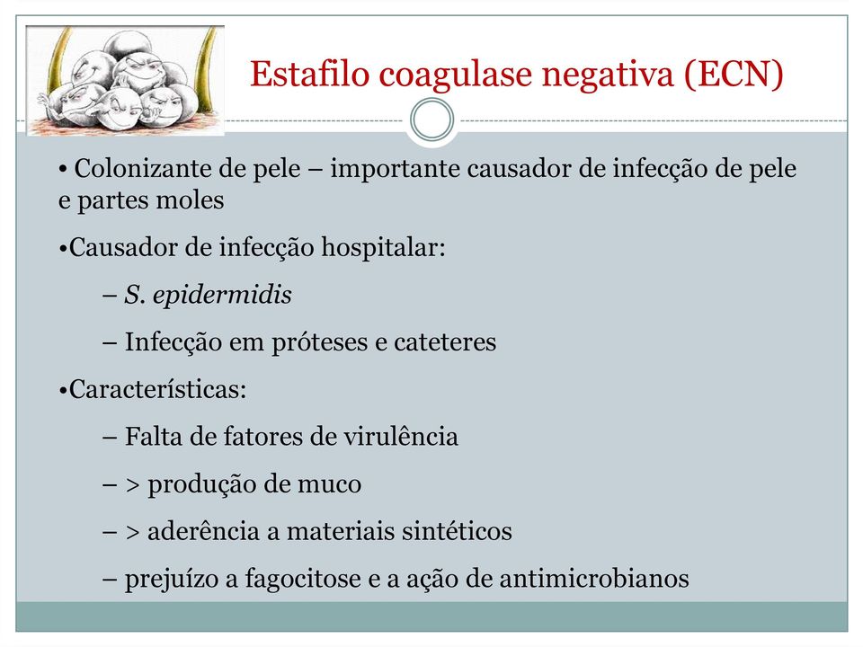 epidermidis Infecção em próteses e cateteres Características: Falta de fatores de