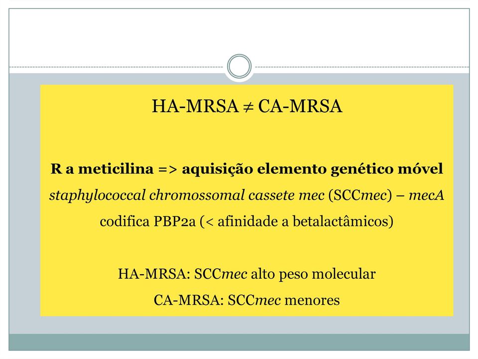 mec(sccmec) meca codifica PBP2a (< afinidade a