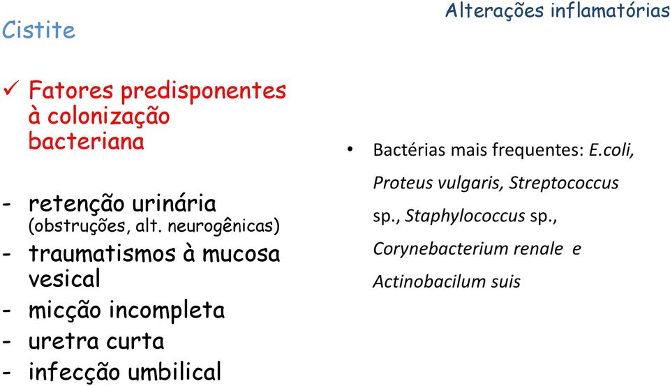 infecção umbilical Alterações inflamatórias Bactérias mais frequentes: E.