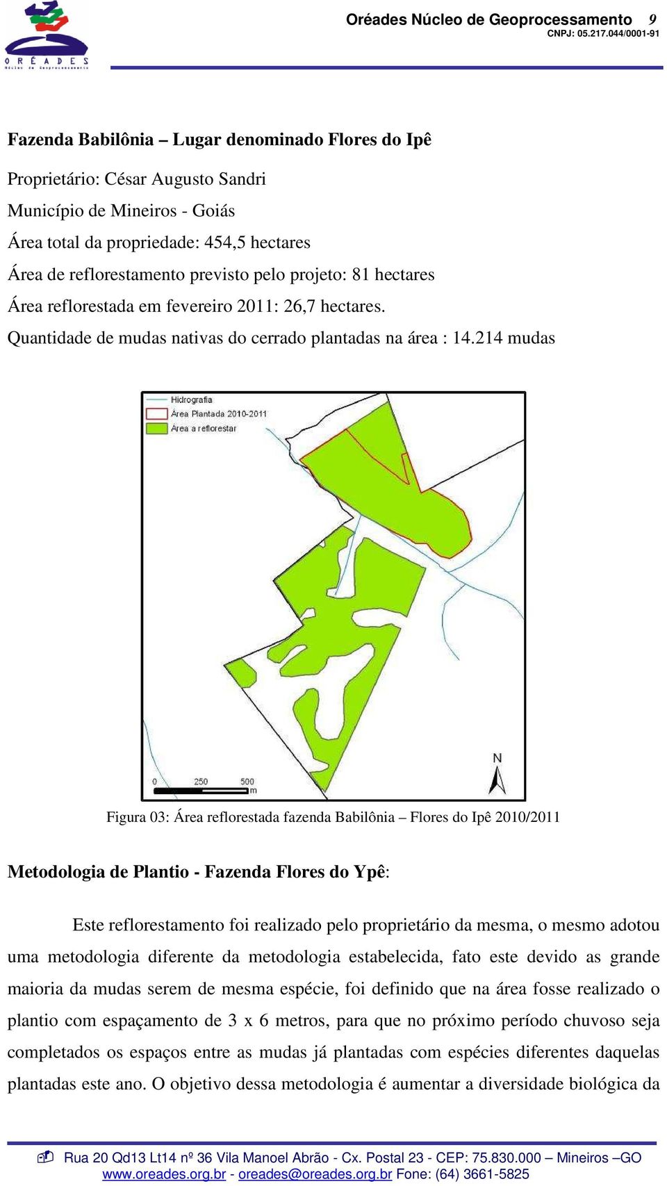 214 mudas Figura 03: Área reflorestada fazenda Babilônia Flores do Ipê 2010/2011 Metodologia de Plantio - Fazenda Flores do Ypê: Este reflorestamento foi realizado pelo proprietário da mesma, o mesmo