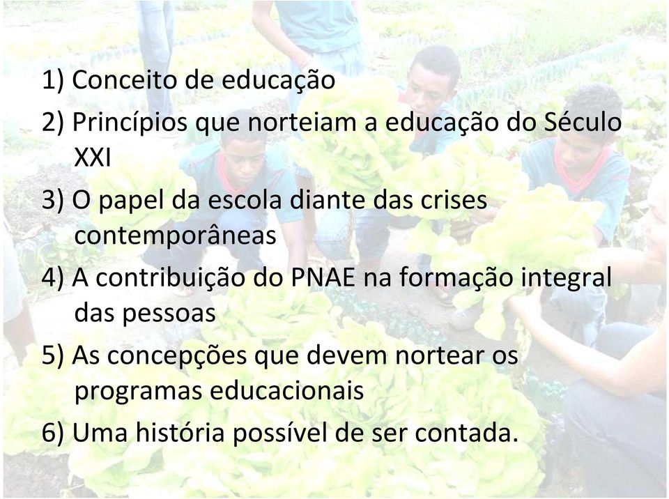 contribuição do PNAE na formação integral das pessoas 5) As concepções