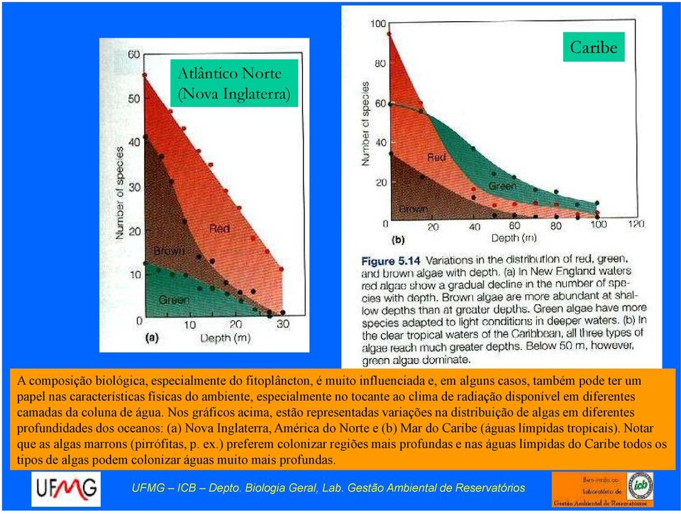 Nos gráficos acima, estão representadas variações na distribuição de algas em diferentes profundidades dos oceanos: (a) Nova Inglaterra, América do Norte e (b) Mar do