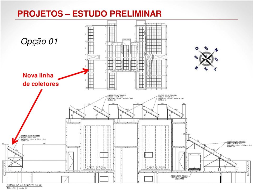 Opção 01 Nova