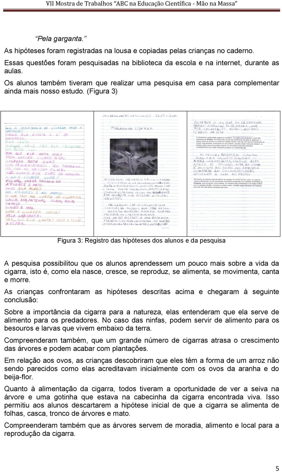 (Figura 3) Figura 3: Registro das hipóteses dos alunos e da pesquisa A pesquisa possibilitou que os alunos aprendessem um pouco mais sobre a vida da cigarra, isto é, como ela nasce, cresce, se