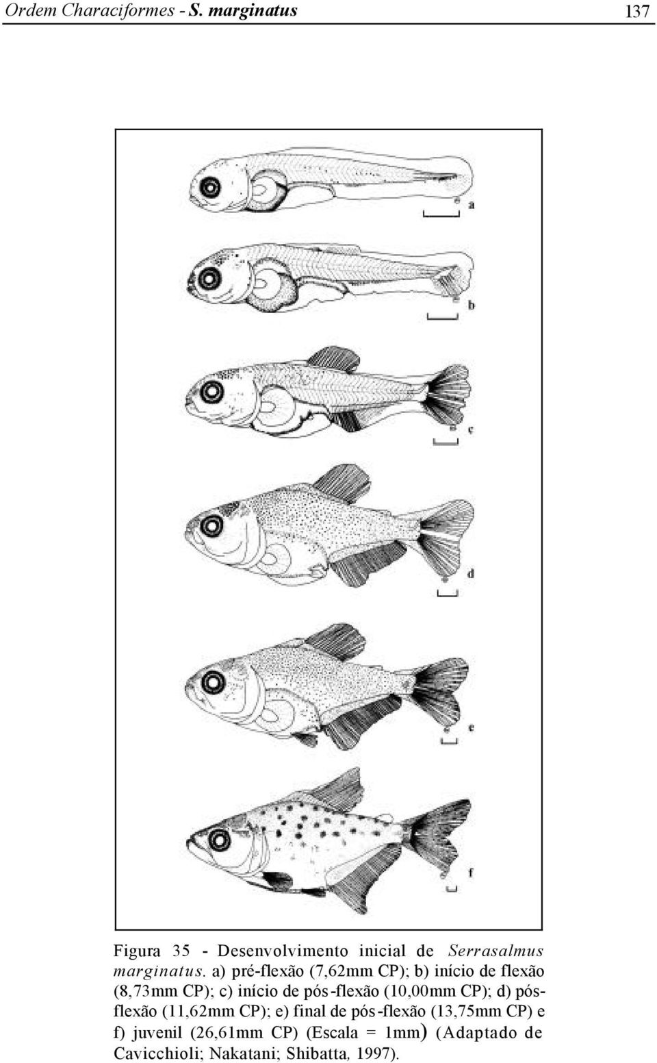 a) pré-flexão (7,62mm CP); b) início de flexão (8,73mm CP); c) início de pós-flexão