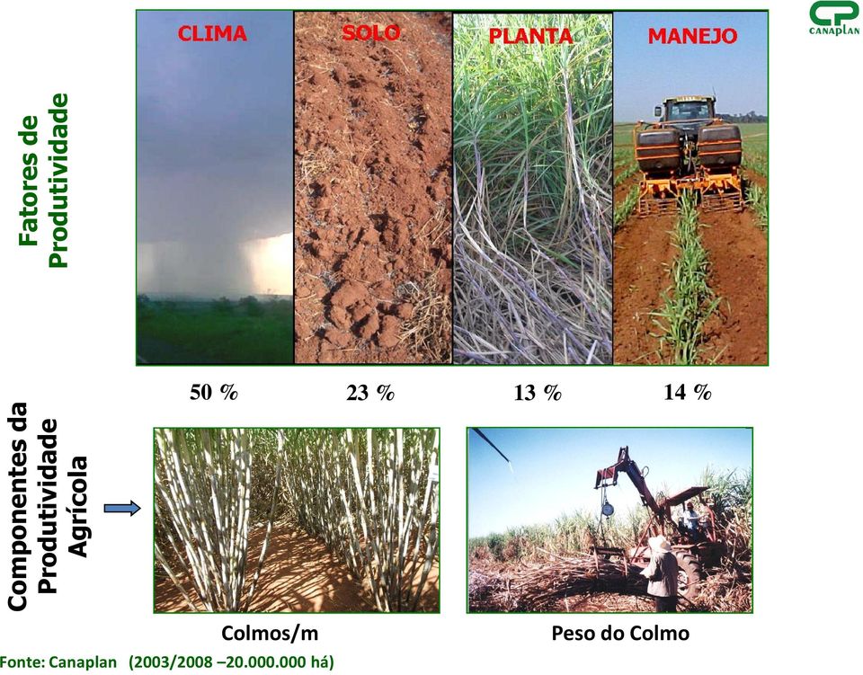 Canaplan (2003/2008 20.000.