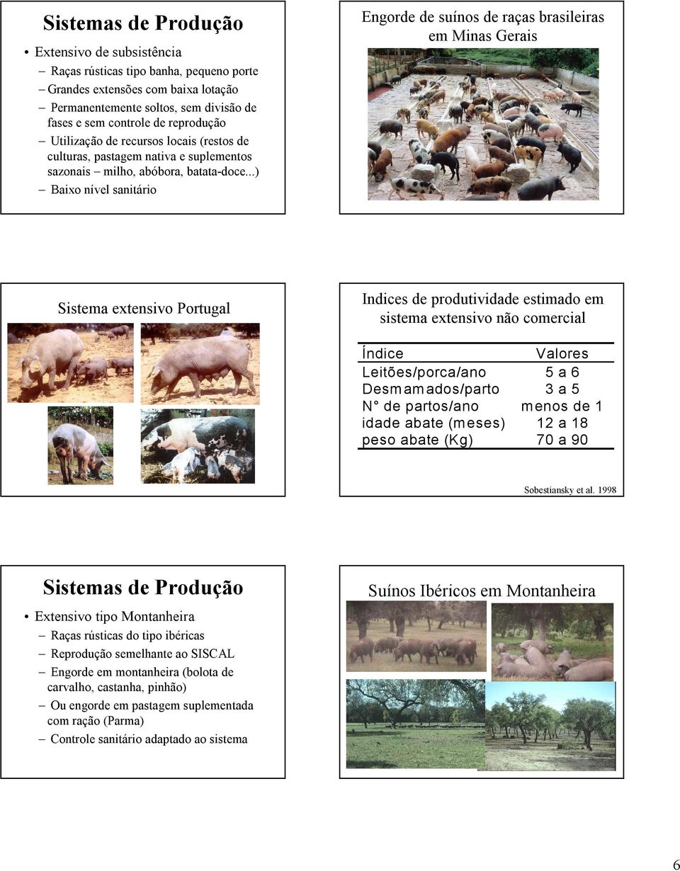 ..) Baixo nível sanitário Engorde de suínos de raças brasileiras em Minas Gerais Sistema extensivo Portugal Indices de produtividade estimado em sistema extensivo não comercial Índice Valores