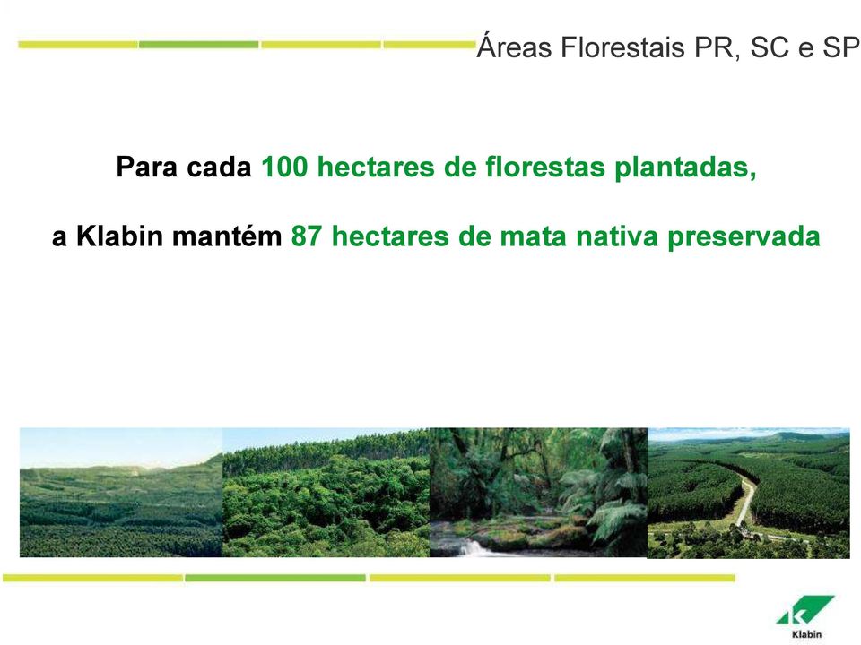 florestas plantadas, a Klabin