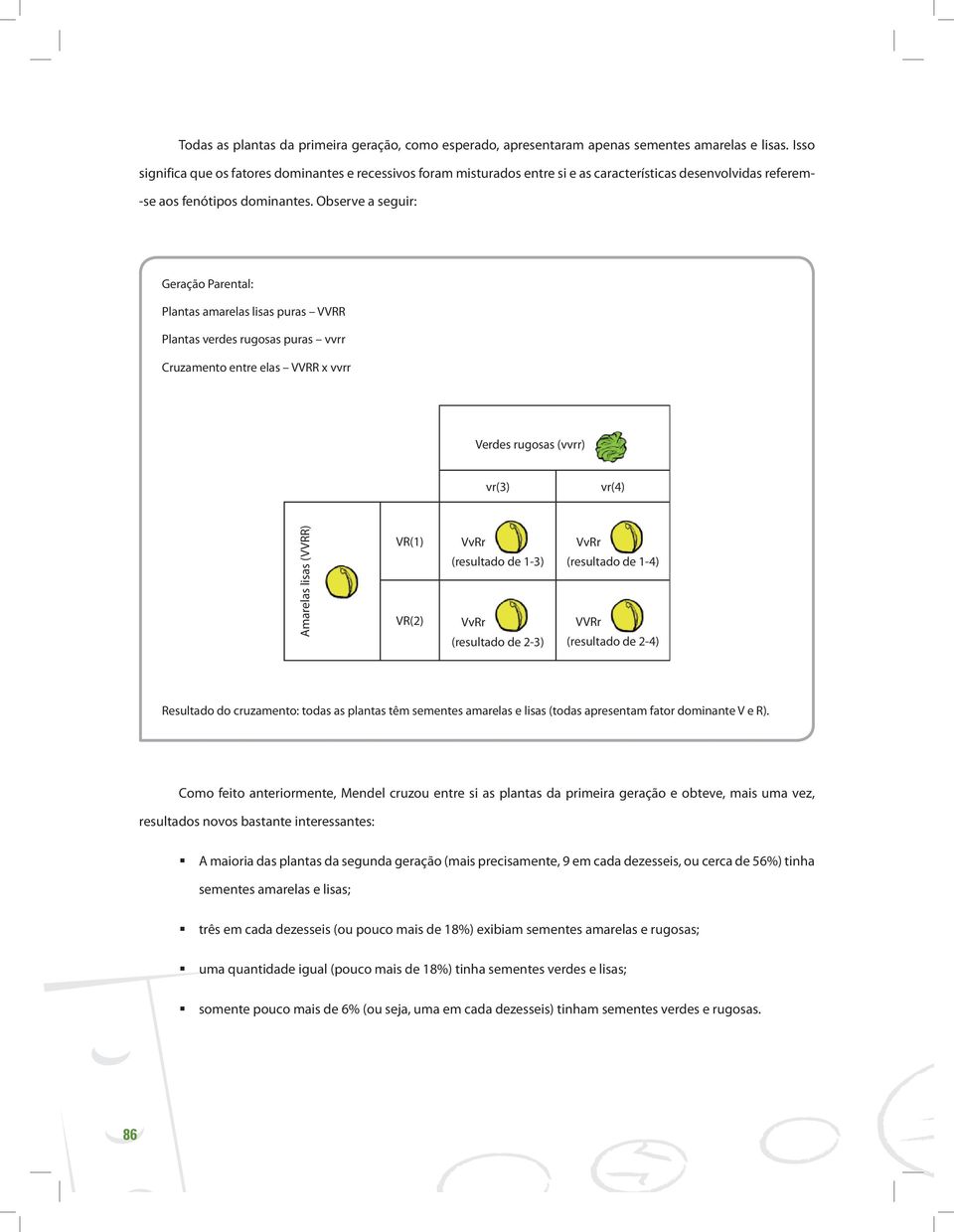 Observe a seguir: Geração Parental: Plantas amarelas lisas puras VVRR Plantas verdes rugosas puras vvrr Cruzamento entre elas VVRR x vvrr Verdes rugosas (vvrr) vr(3) vr(4) Amarelas lisas (VVRR) VR(1)