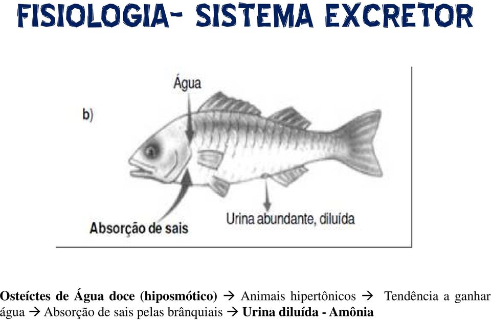 hipertônicos Tendência a ganhar água