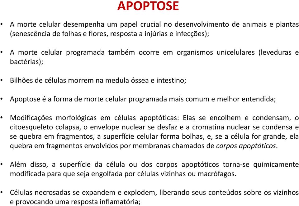 Modificações morfológicas em células apoptóticas: Elas se encolhem e condensam, o citoesqueleto colapsa, o envelope nuclear se desfaz e a cromatina nuclear se condensa e se quebra em fragmentos, a