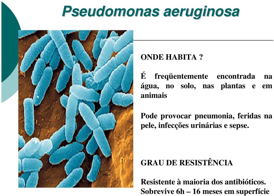 animais Pode provocar pneumonia, feridas na pele, infecções
