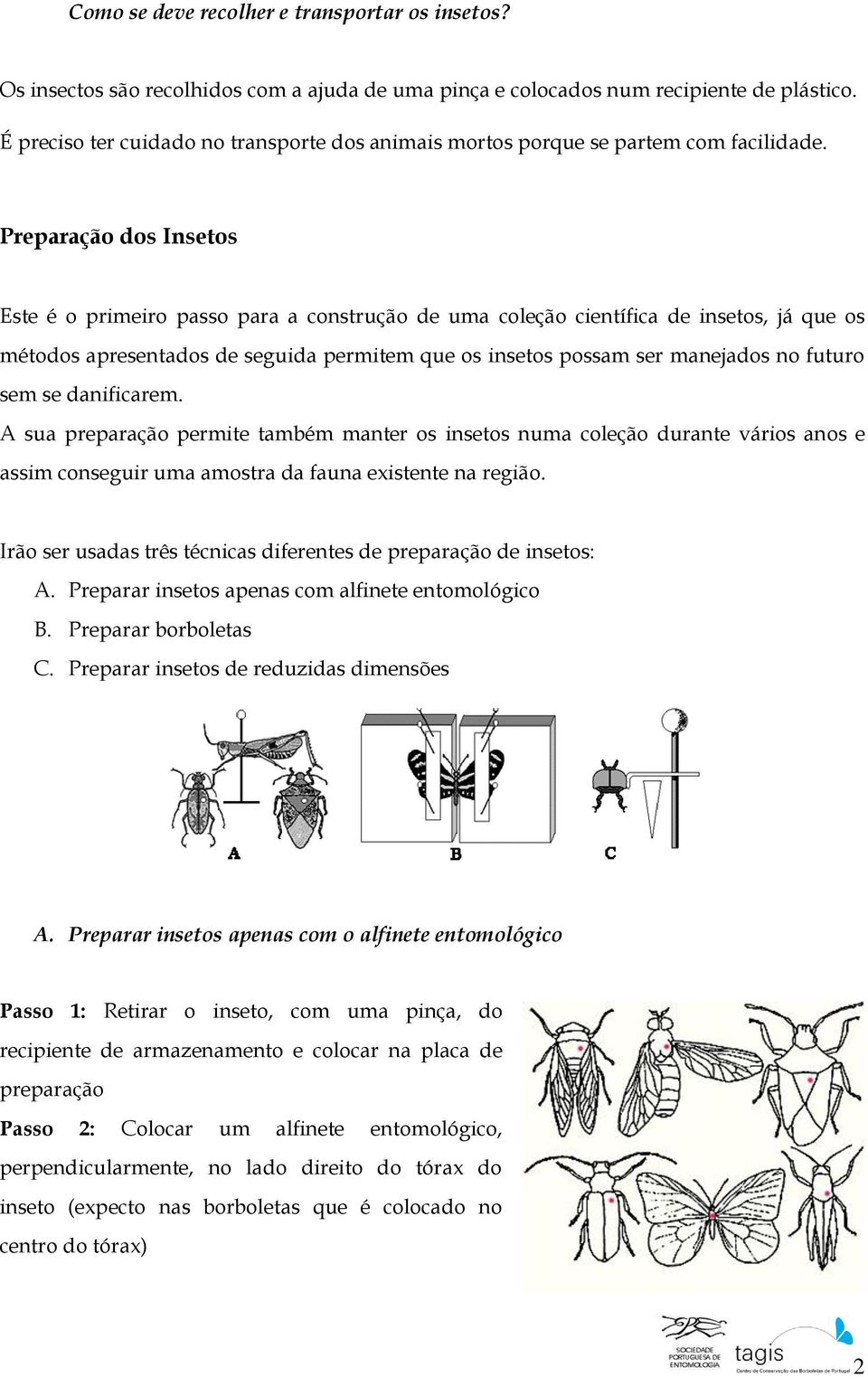 Preparação dos Insetos Este é o primeiro passo para a construção de uma coleção científica de insetos, já que os métodos apresentados de seguida permitem que os insetos possam ser manejados no futuro