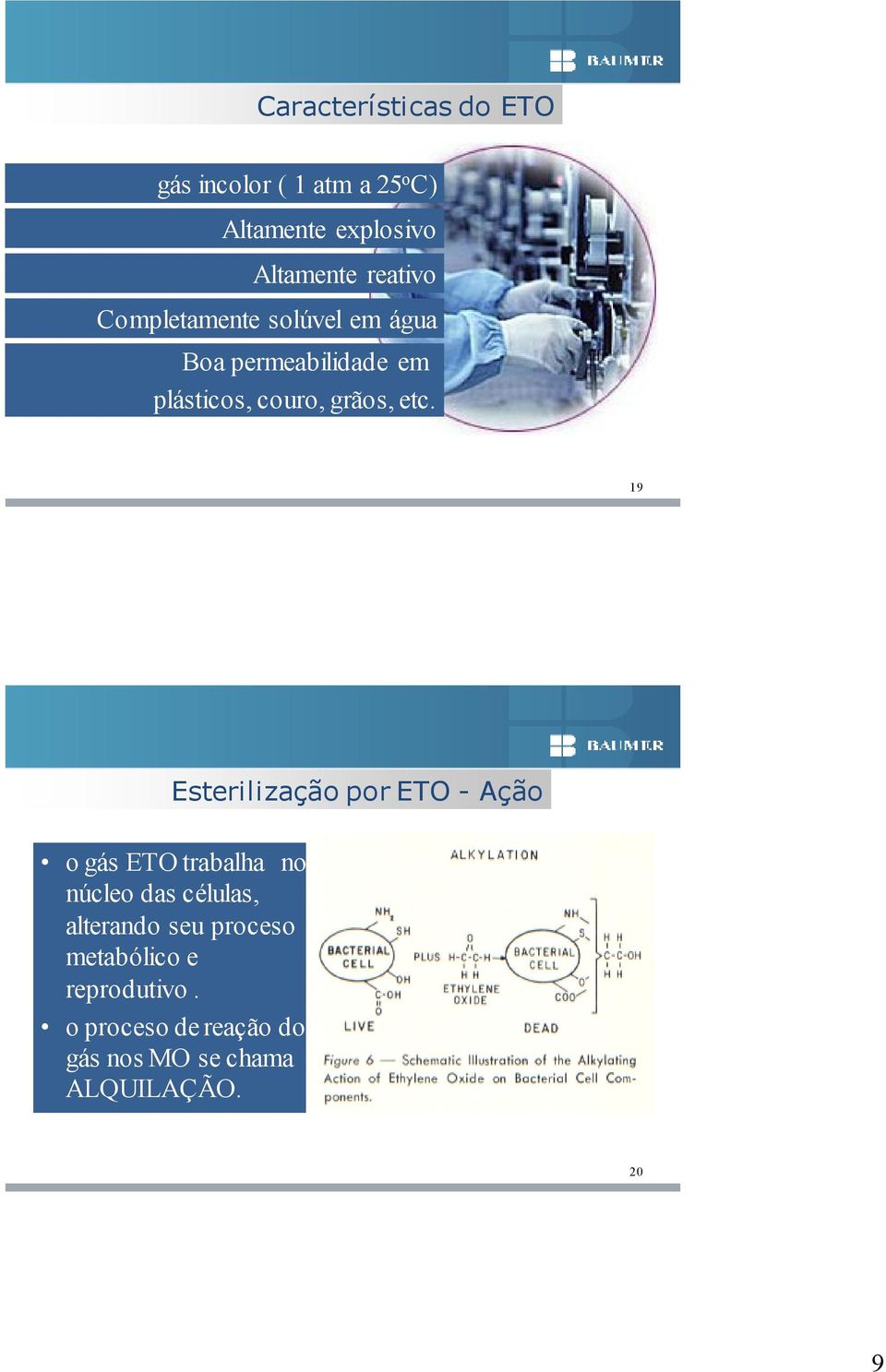 19 Esterilização por ETO - Ação o gás ETO trabalha no núcleo das células, alterando seu