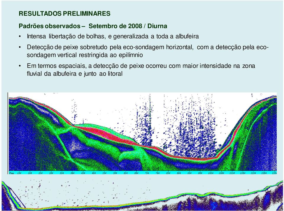 horizontal, com a detecção pela ecosondagem vertical restringida ao epilímnio Em termos