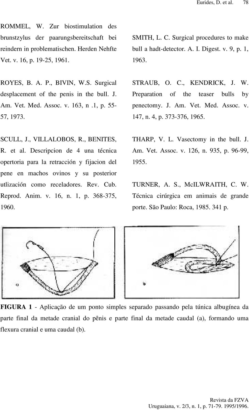 55-57, 1973. STRAUB, O. C., KENDRICK, J. W. Preparation of the teaser bulls by penectomy. J. Am. Vet. Med. Assoc. v. 147, n. 4, p. 373-376, 1965. SCULL, J., VILLALOBOS, R., BENITES, R. et al.