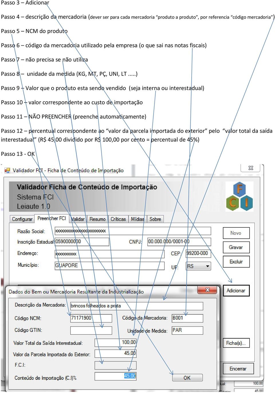 ..) Passo 9 Valor que o produto esta sendo vendido (seja interna ou interestadual) Passo 10 valor correspondente ao custo de importação Passo 11 NÃO PREENCHER (preenche