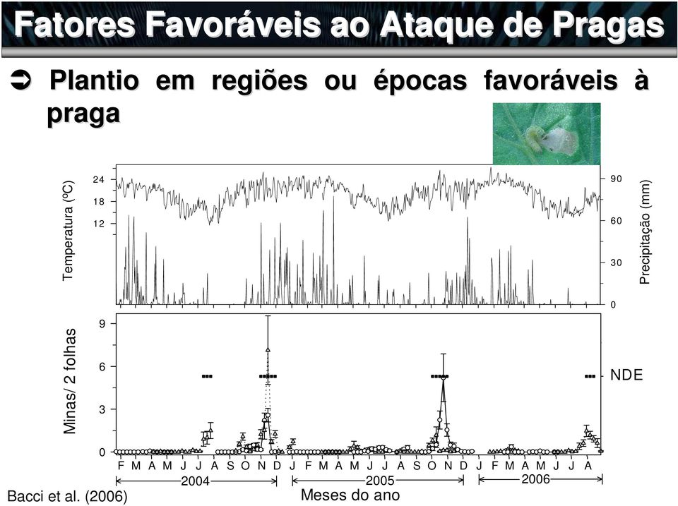 6 3 90 60 30 0 AF NDE DF Precipitação (mm) NDE 0 Bacci et al.