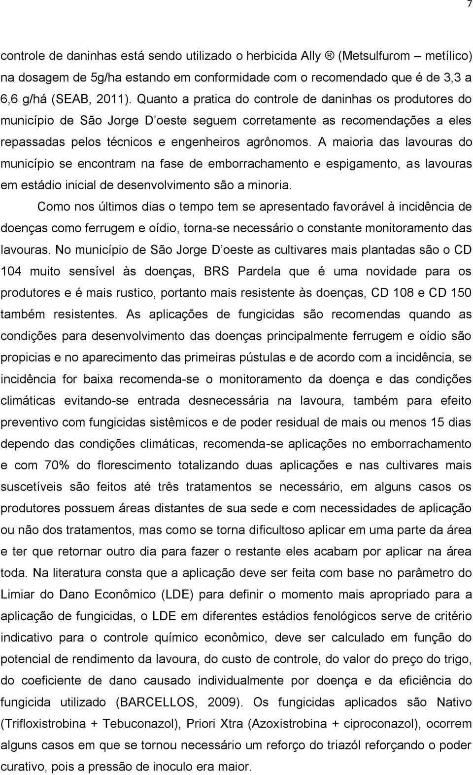 A maioria das lavouras do município se encontram na fase de emborrachamento e espigamento, as lavouras em estádio inicial de desenvolvimento são a minoria.