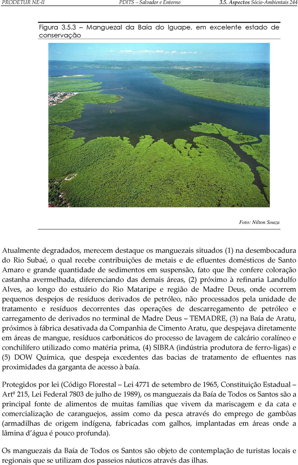 3 Manguezal da Baía do Iguape, em excelente estado de conservação Foto: Nilton Souza Atualmente degradados, merecem destaque os manguezais situados (1) na desembocadura do Rio Subaé, o qual recebe