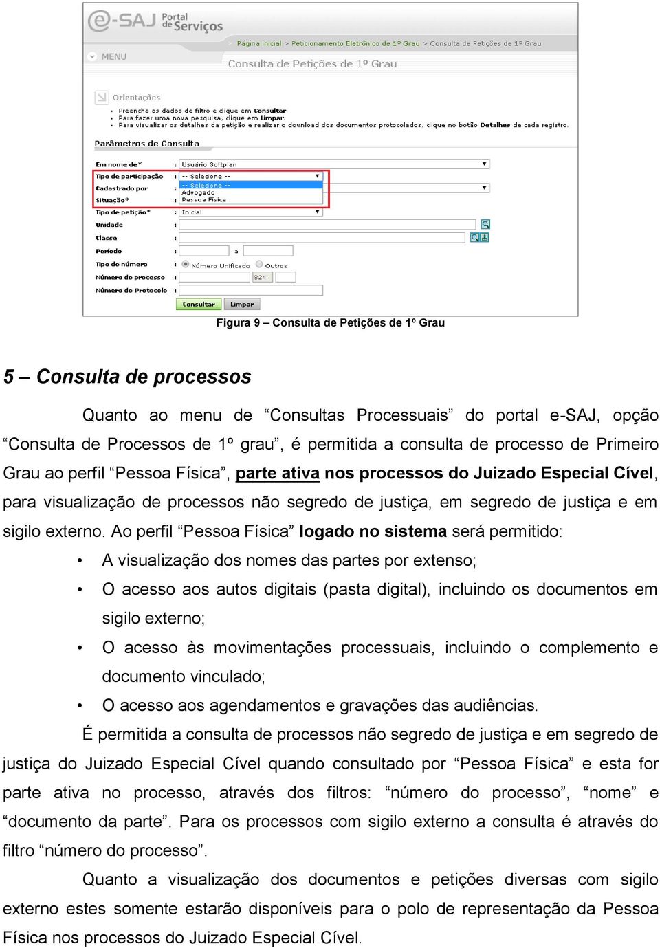 Ao perfil Pessoa Física logado no sistema será permitido: A visualização dos nomes das partes por extenso; O acesso aos autos digitais (pasta digital), incluindo os documentos em sigilo externo; O