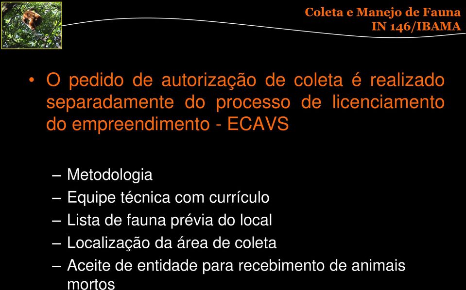 ECAVS Metodologia Equipe técnica com currículo Lista de fauna prévia do