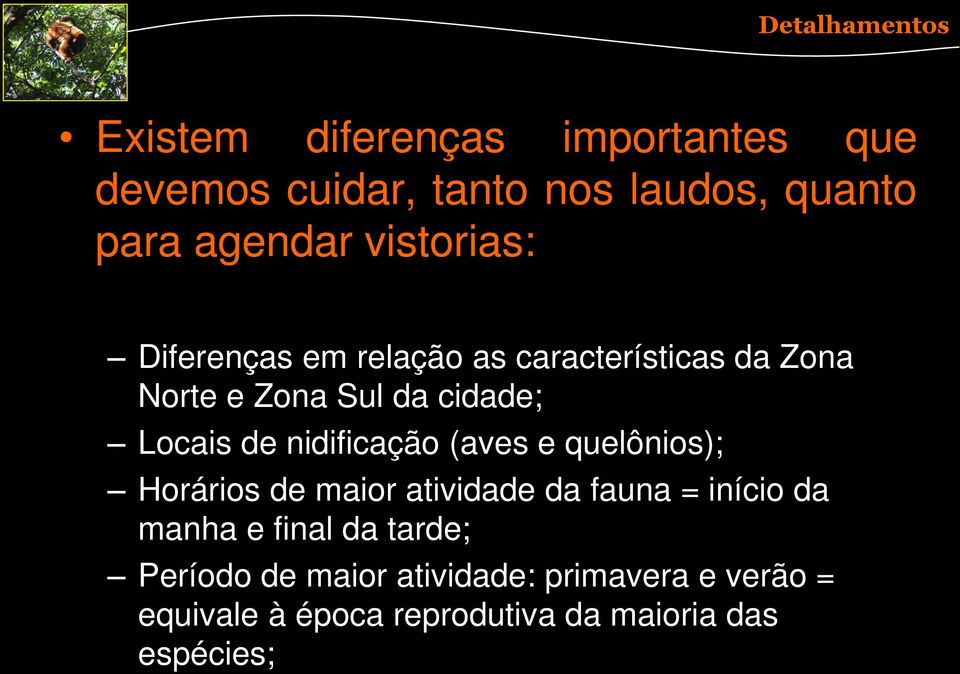 Locais de nidificação (aves e quelônios); Horários de maior atividade da fauna = início da manha e