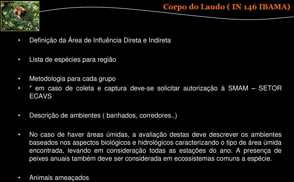 .) No caso de haver áreas úmidas, a avaliação destas deve descrever os ambientes baseados nos aspectos biológicos e hidrológicos caracterizando o