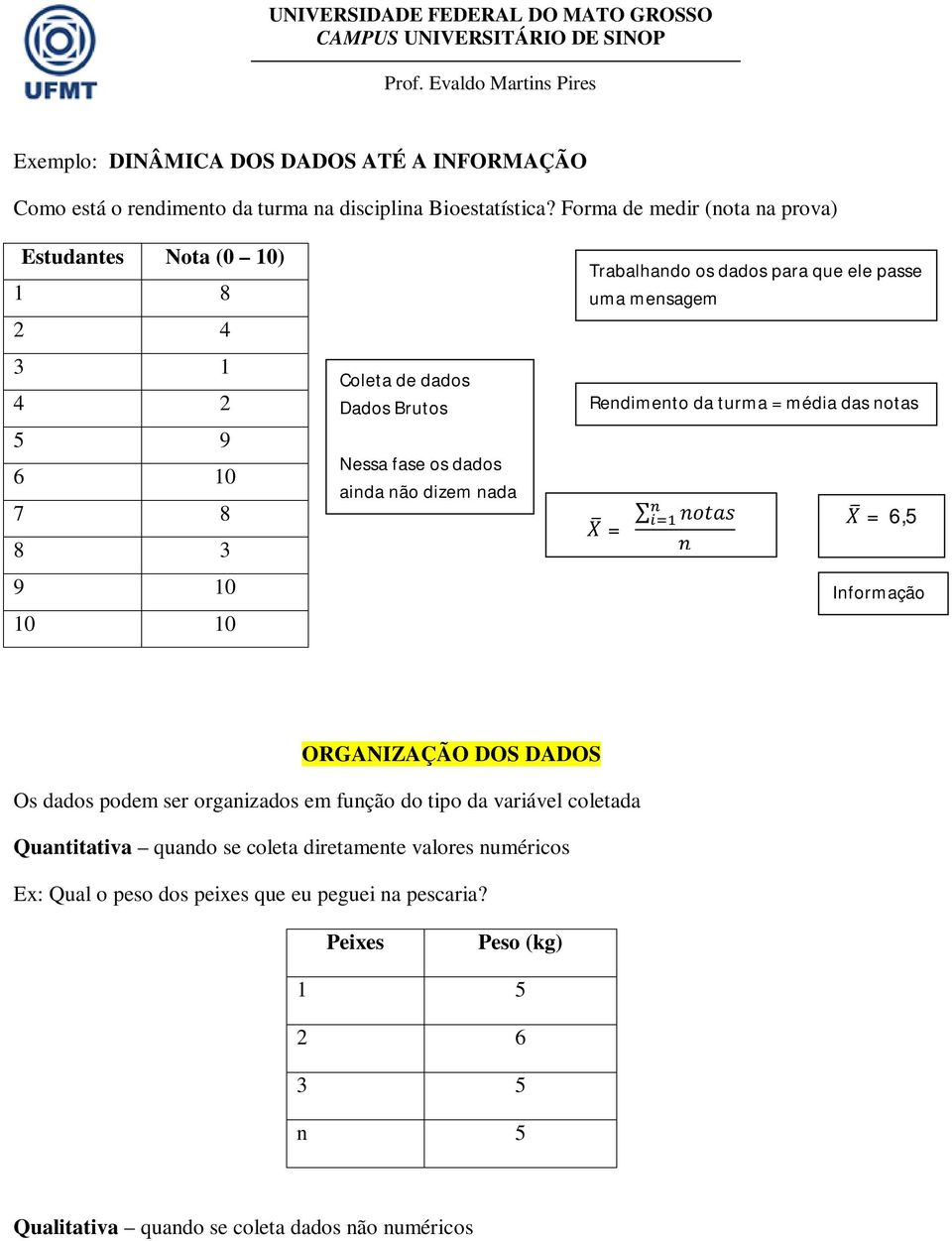 Trabalhando os dados para que ele passe uma mensagem Rendimento da turma = média das notas X = notas n X = 6,5 Informação ORGANIZAÇÃO DOS DADOS Os dados podem ser