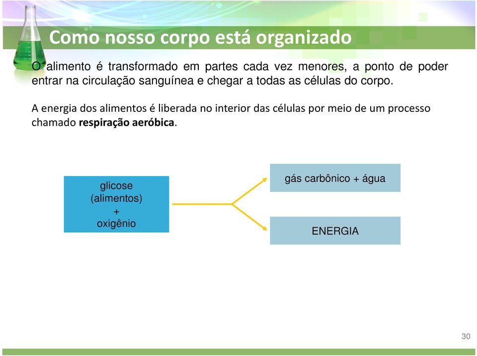 A energia dos alimentos é liberada no interior das células por meio de um