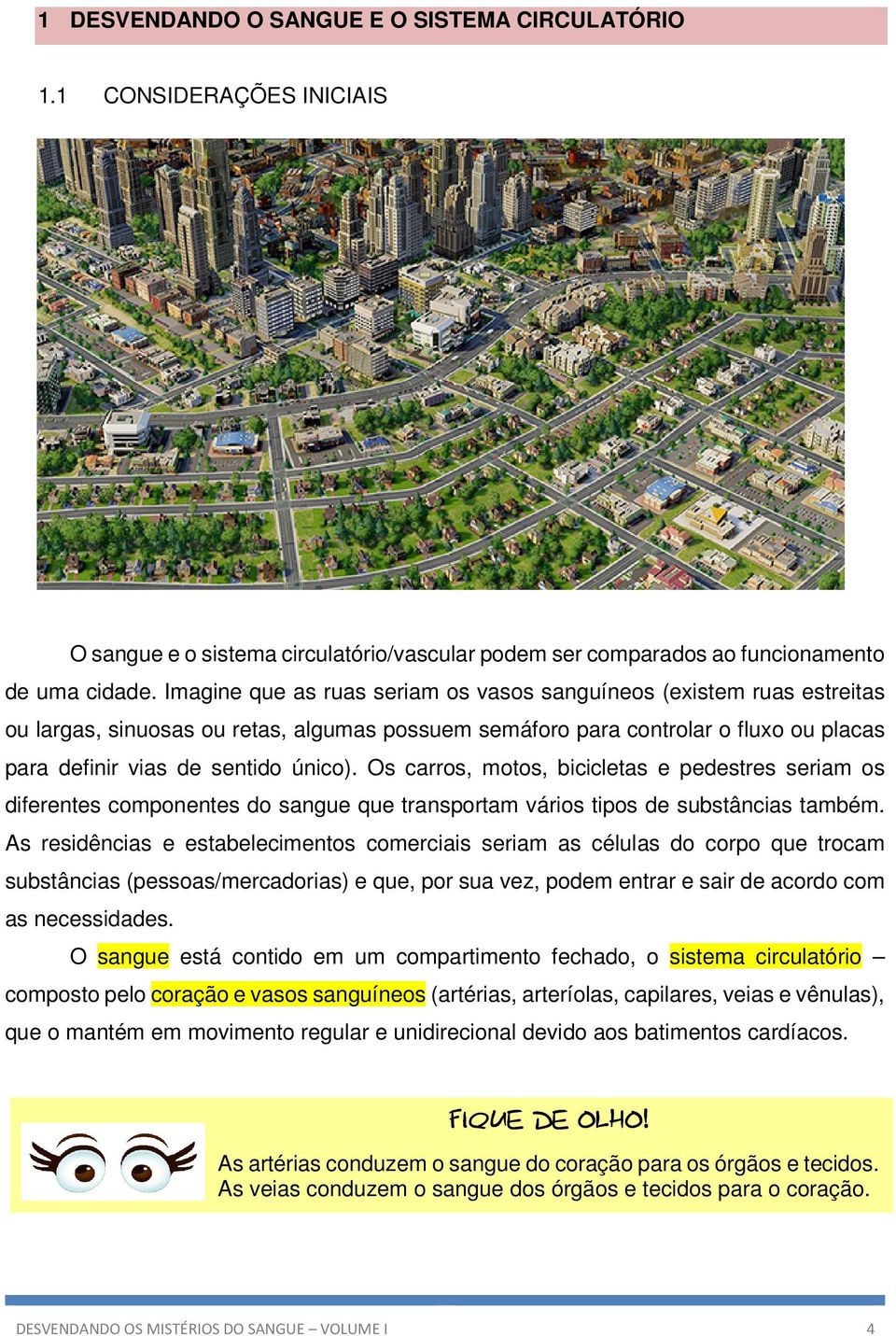 Os carros, motos, bicicletas e pedestres seriam os diferentes componentes do sangue que transportam vários tipos de substâncias também.