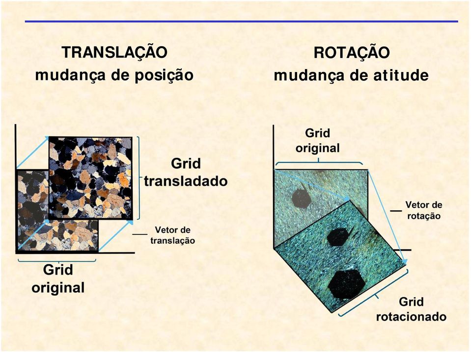 posição