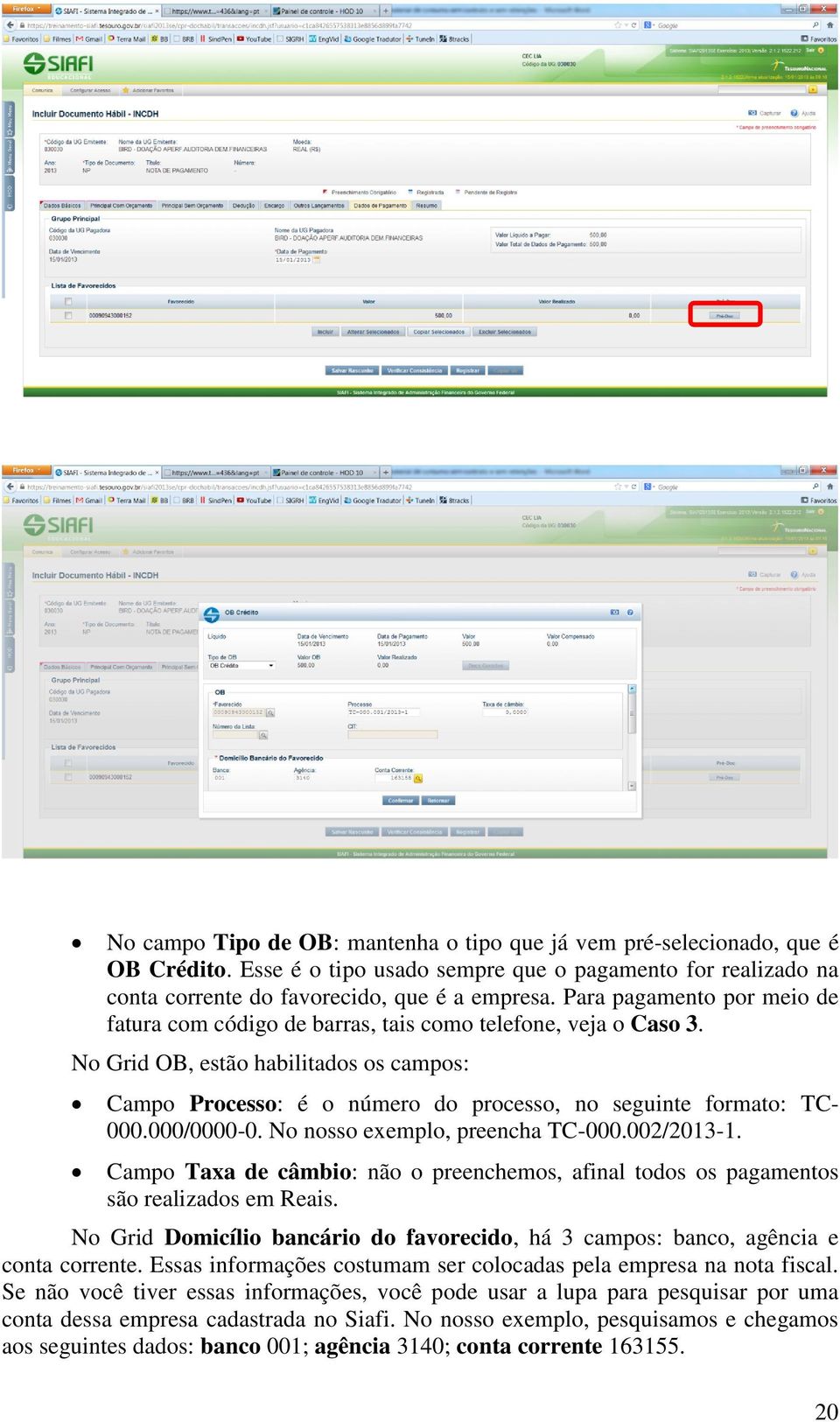 No Grid OB, estão habilitados os campos: Campo Processo: é o número do processo, no seguinte formato: TC- 000.000/0000-0. No nosso exemplo, preencha TC-000.002/2013-1.