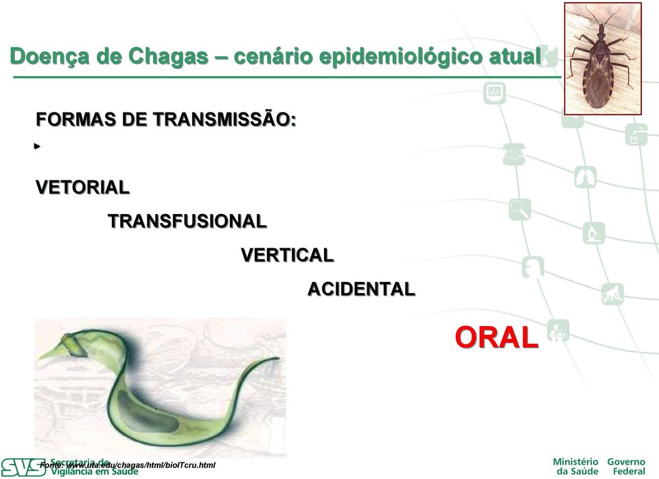 TRANSFUSIONAL VERTICAL ACIDENTAL ORAL
