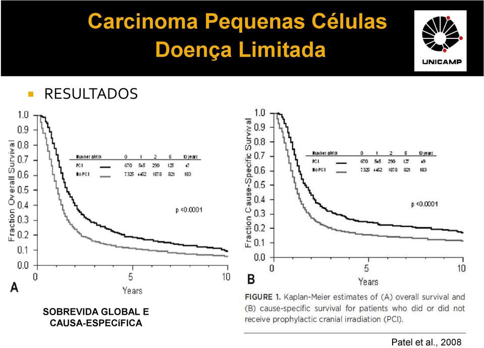 Limitada SOBREVIDA GLOBAL