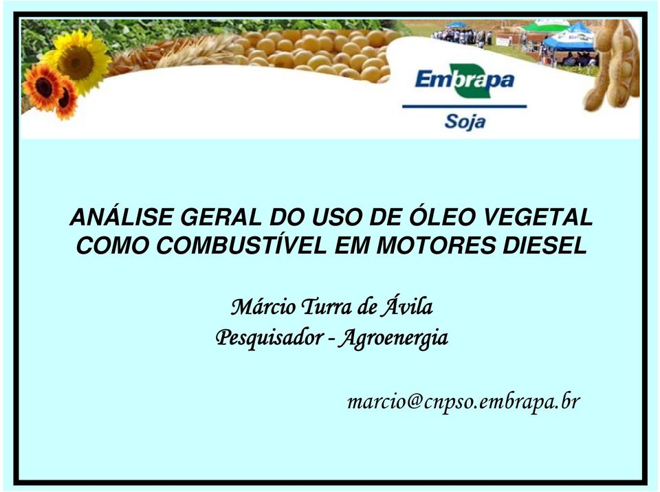 DIESEL Márcio Turra de Ávila