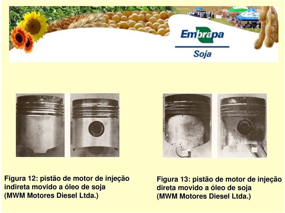 ) Figura 13: pistão de motor de injeção direta