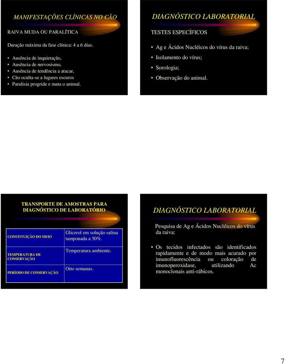 TESTES ESPECÍFICOS Ag e Ácidos Nucléicos do vírus da raiva; Isolamento do vírus; Sorologia; Observação do animal.