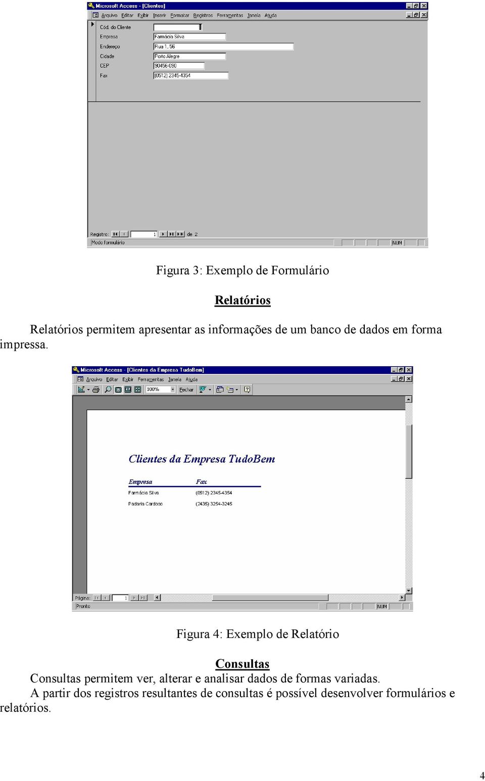 Figura 4: Exemplo de Relatório Consultas Consultas permitem ver, alterar e analisar