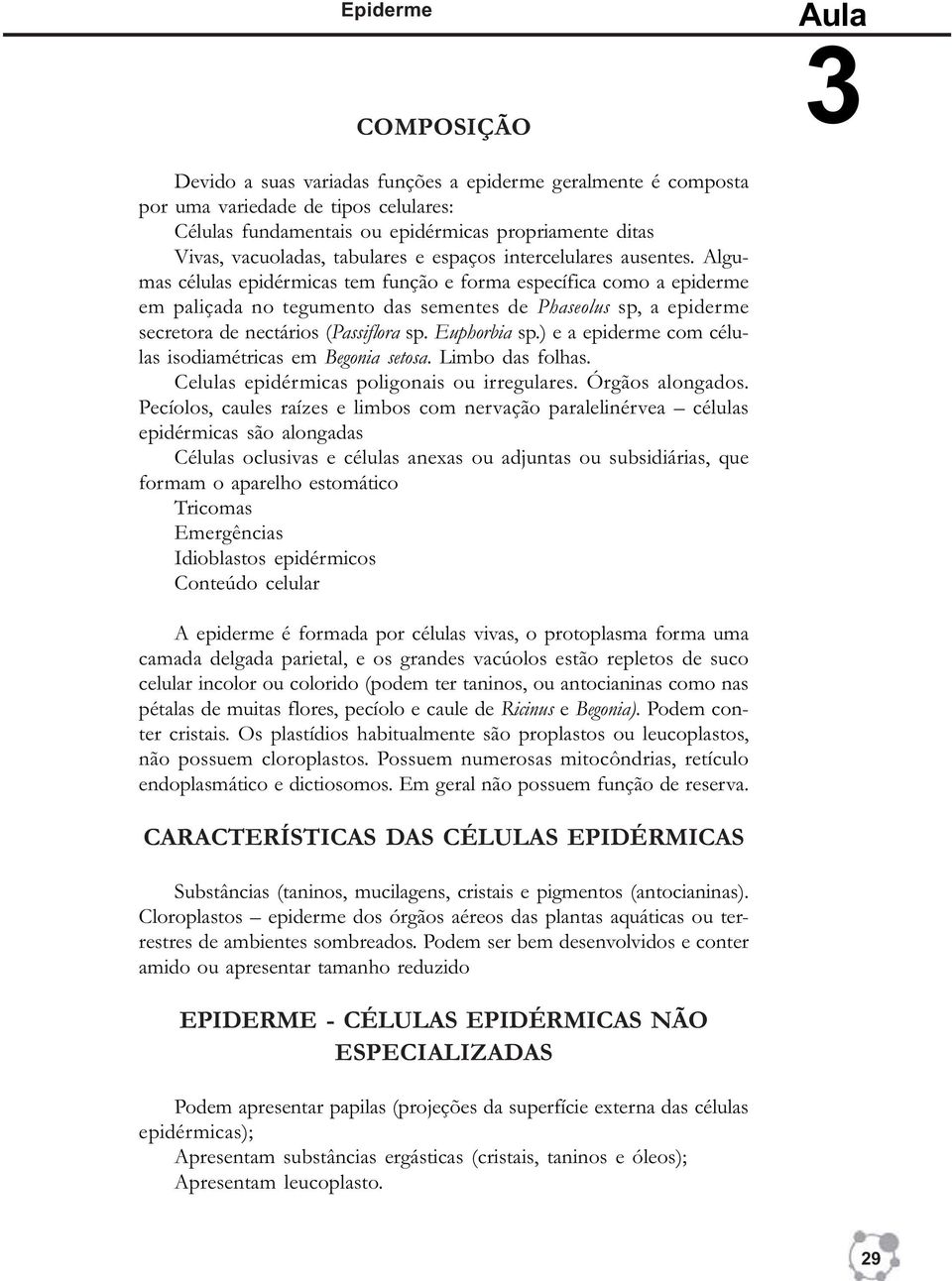 Algumas células epidérmicas tem função e forma específica como a epiderme em paliçada no tegumento das sementes de Phaseolus sp, a epiderme secretora de nectários (Passiflora sp. Euphorbia sp.